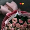 ._wa._.fa._