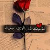 user8787880252924