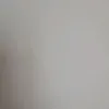 vivo2volte
