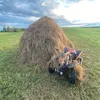 senehka_surgaev774