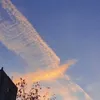 h111134466i