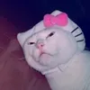 aywaaaaa111