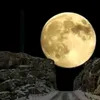 warda.rosa7_