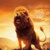 syed_zada697