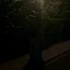taisi_ia
