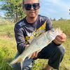farezmancing92