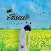 haseebjut602