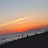 tom_hmb2704