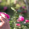 flawer1027