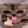 1w7rt