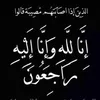 alijaber5589