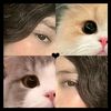 michitaa05