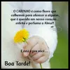 mariaribeiroribei20