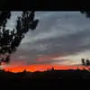 thebooklover242426