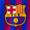 user590165736