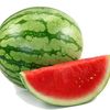 sandia_1010000