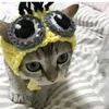 hienan_vn209