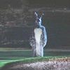 donnie_darkoenjoyer