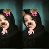 always.chaa0422