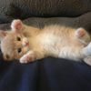 jellyandstormie