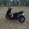 abil_mfhm