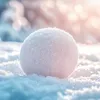 snow_ball_1991