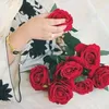 shakiranjum913