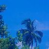 adeliaee_7