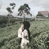 mellasweet2