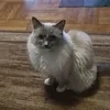 barbara..barbara