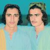 .tauseef.gull687