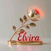elvira.monga8