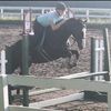 paddy_eq41