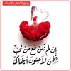 user5118088473108