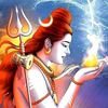 aryealshah