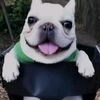 poch00clooo