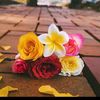 nasim_ahmed