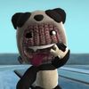 maltin482