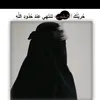 shahudy.505
