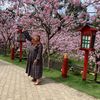 damayanti90353