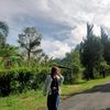 angelinalestari38