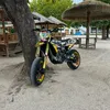 ginevra_merler_