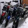 andhie135team