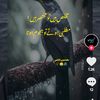 mahnor745