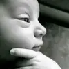 paviley10410