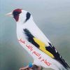 boukhatemhabibe