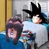 gokudopesujo