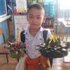 ppwsmi