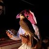 ,دهامم 🧡🇶🇦