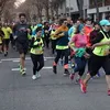 emeritallori